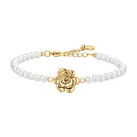 BK2667-1_aa06f437-e9f1-4929-a399-49b2f7fc5ecf